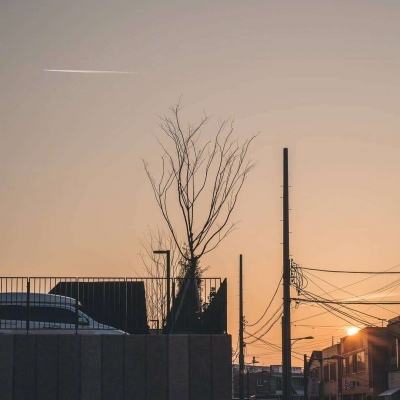 半岛官方网站入口下载